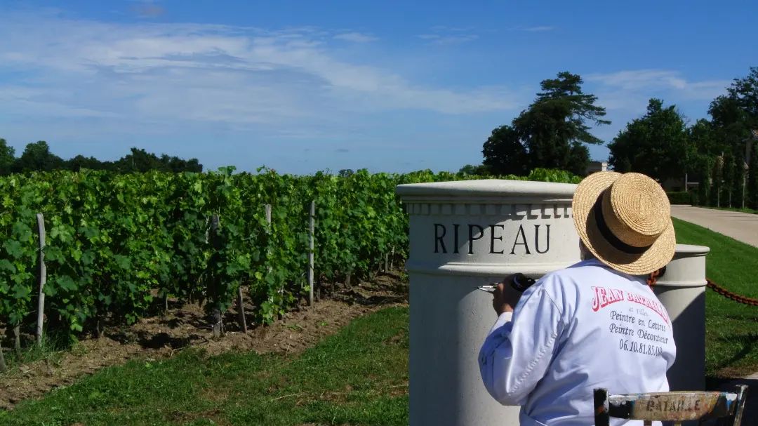 Saint-Emilion Grand Cru Classe, CHATEAU RIPEAU, Bordeaux