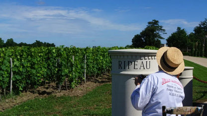 Saint-Emilion Grand Cru Classe, CHATEAU RIPEAU, Bordeaux