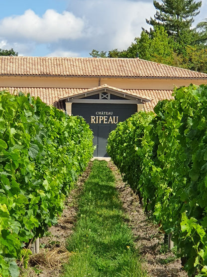 Saint-Emilion Grand Cru Classe, CHATEAU RIPEAU, Bordeaux