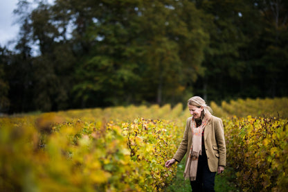 Pouilly-Fume, Haute Densite, CHATEAU DE TRACY, France