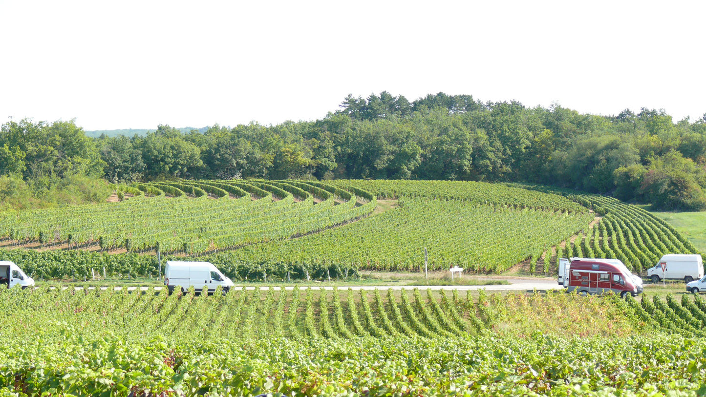 Pernand Vergelesses, DOMAINE CORNU, Burgundy, France