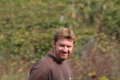 Ladoix Premier Cru "Les Bois Roussot", DOMAINE CORNU, Burgundy, France