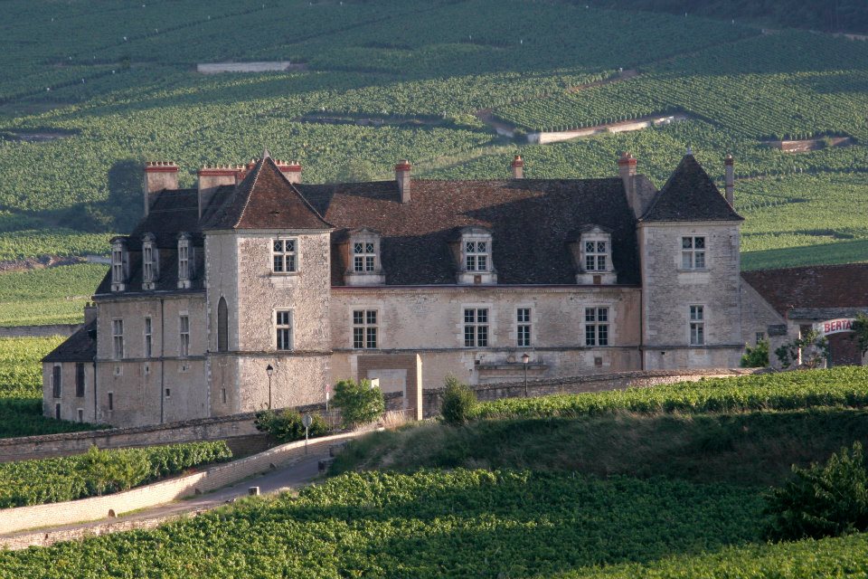 Gevrey-Chambertin, Clos des Issarts Premier Cru (Monopole), DOMAINE FAIVELEY, Burgundy