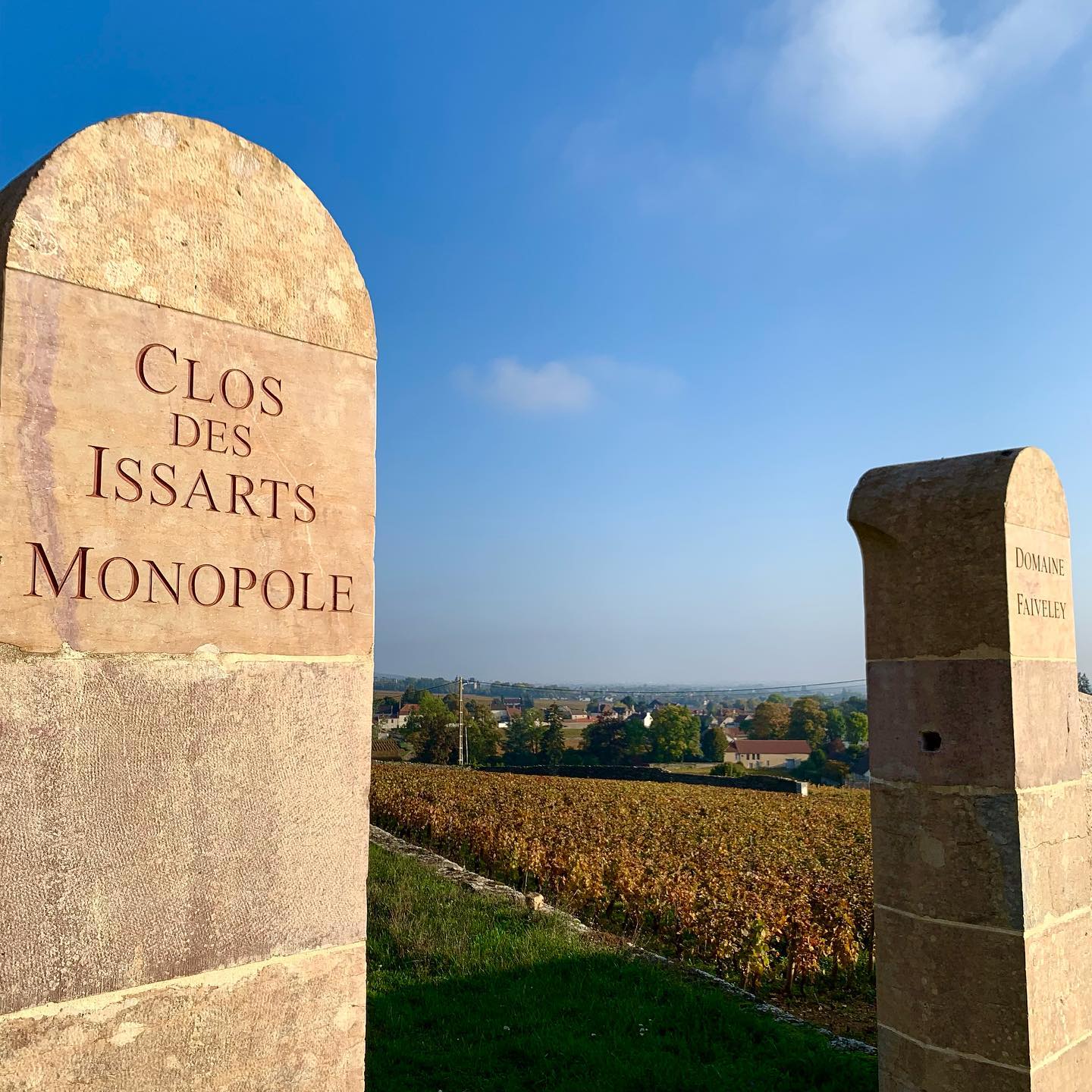 DOMAINE FAIVELEY, Gevrey-Chambertin, Premier Cru Clos des Issarts (Monopole), 2020