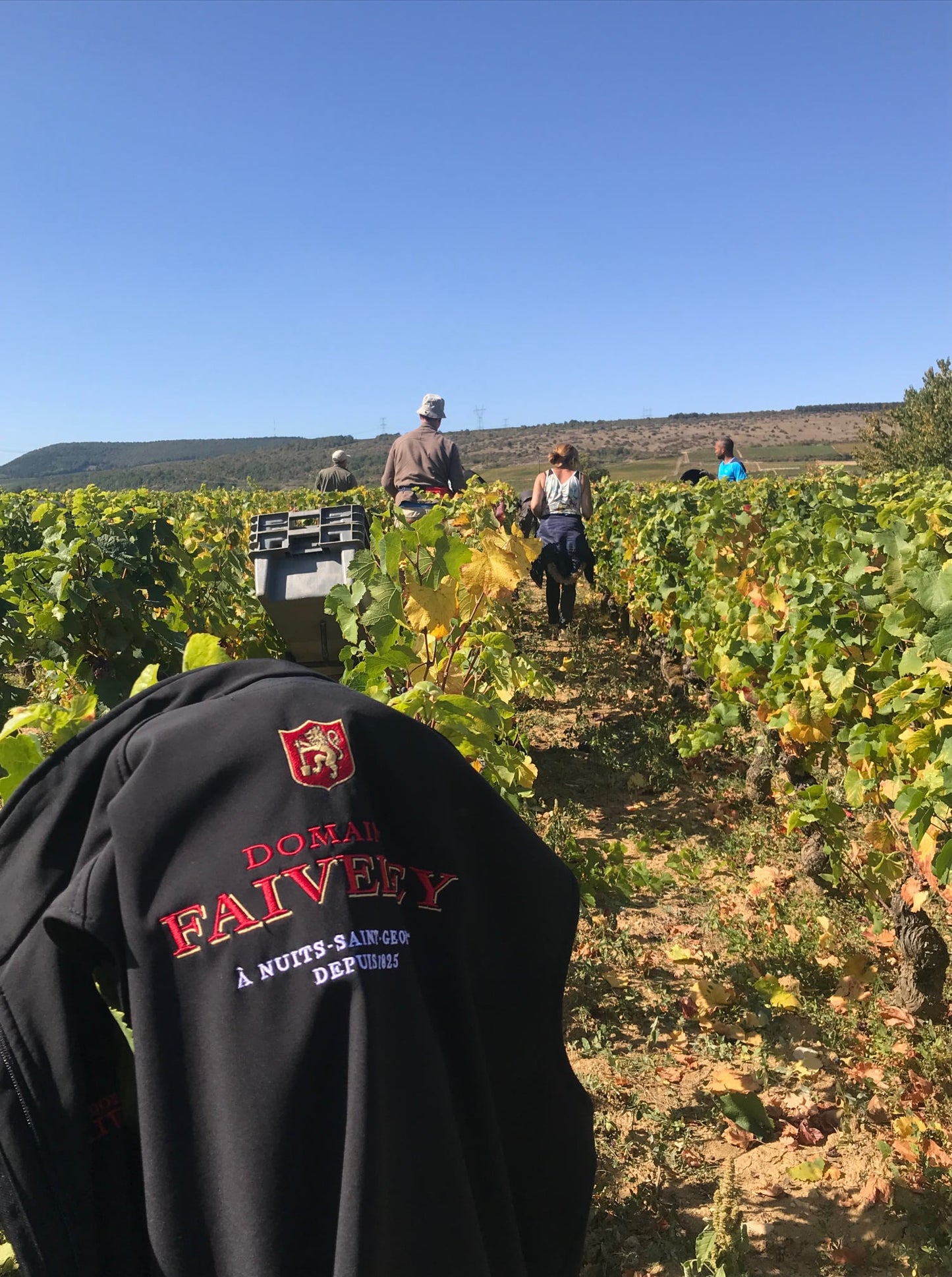 DOMAINE FAIVELEY, Gevrey-Chambertin, Premier Cru Clos des Issarts (Monopole), 2020