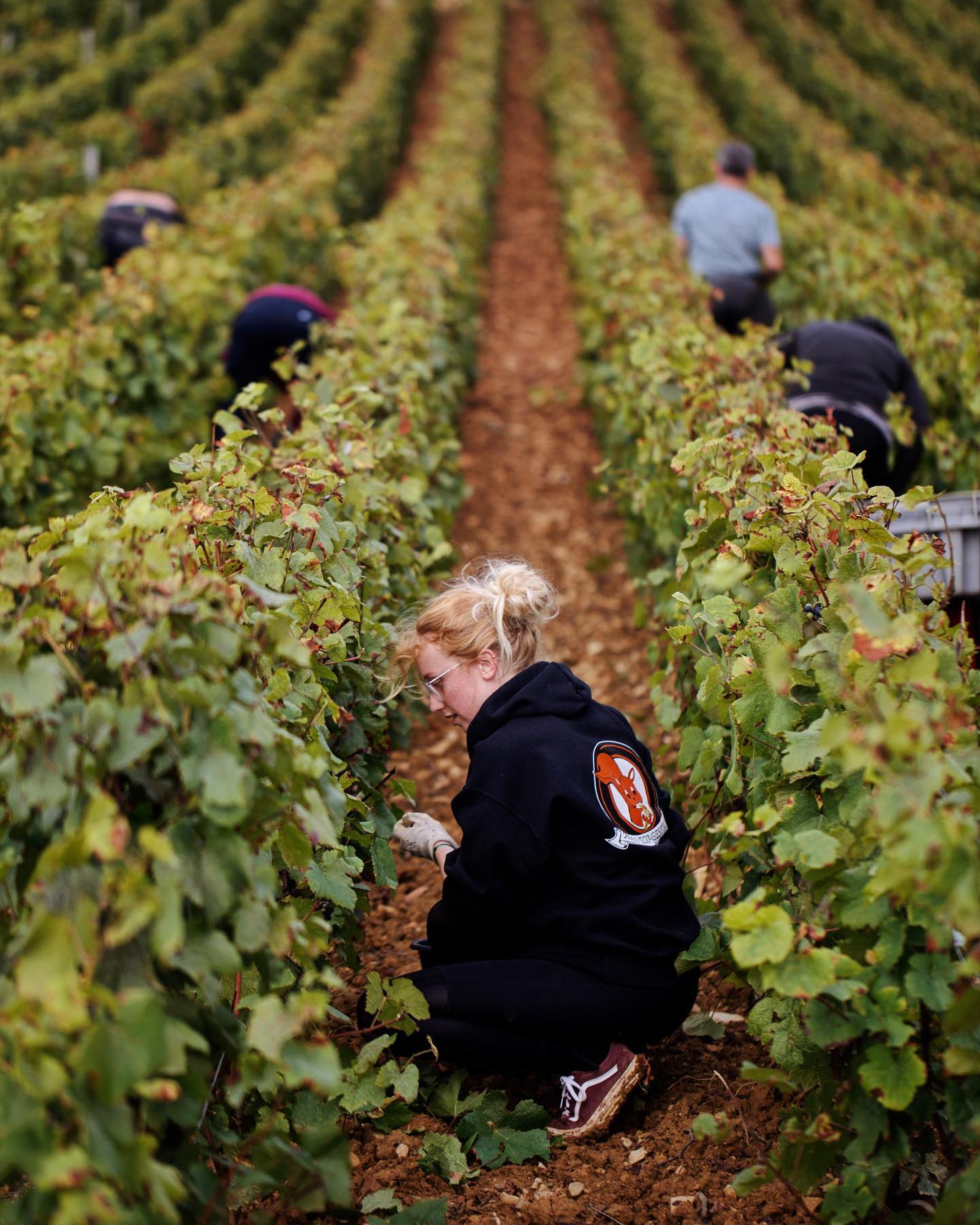 DOMAINE FAIVELEY, Gevrey-Chambertin, Premier Cru Clos des Issarts (Monopole), 2020