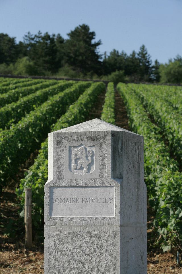 Gevrey-Chambertin, Clos des Issarts Premier Cru (Monopole), DOMAINE FAIVELEY, Burgundy