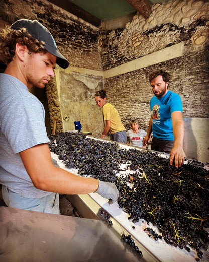 DOMAINE MAYARD, Chateauneuf-du-Pape, 2022