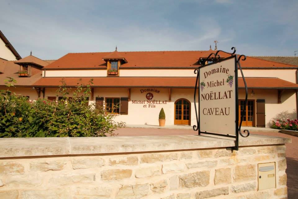 Vosne-Romanee, DOMAINE MICHEL NOELLAT, Burgundy, France