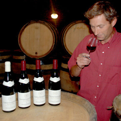 DOMAINE POISOT, Romanee-Saint-Vivant Grand Cru, 2022