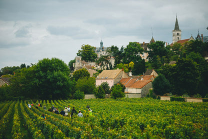 DOMAINE DUREUIL-JANTHIAL, Rully "Chene" Blanc, 2022