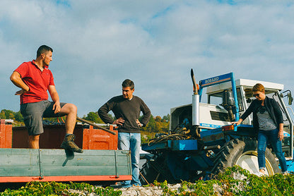 DOMAINE DUREUIL-JANTHIAL, Rully "Chene" Blanc, 2022