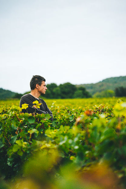 DOMAINE DUREUIL-JANTHIAL, Rully "Chene" Blanc, 2022