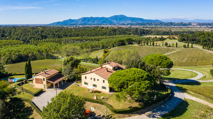 Toscana Rosso, "Sterpato", FATTORIA VARRAMISTA, Italy