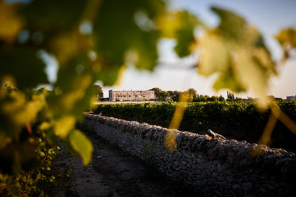 Negroamaro, FEUDI SALENTINI, MORE, Italy