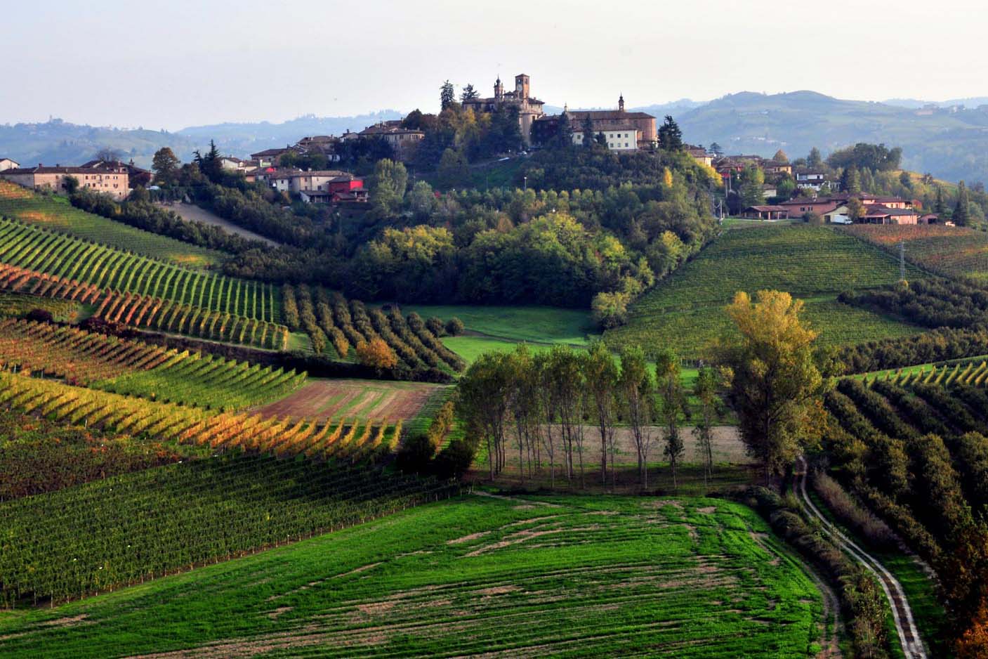 Arneis, FONTANABIANCA, Piedmont, Italy