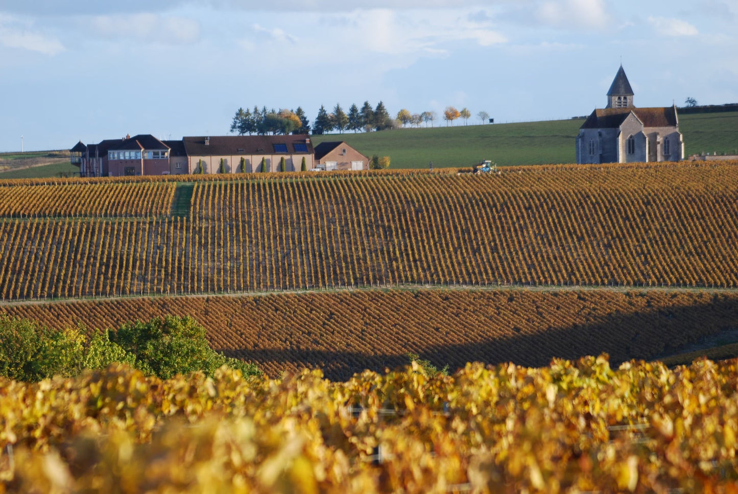 Chablis "Sainte Claire", JEAN MARC BROCARD, France