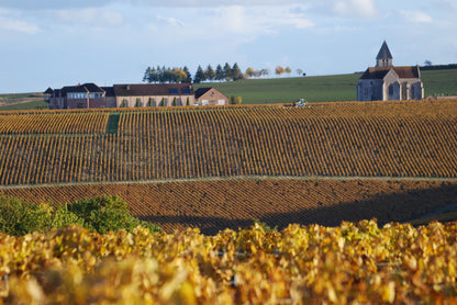 Chablis "Sainte Claire", JEAN MARC BROCARD, France