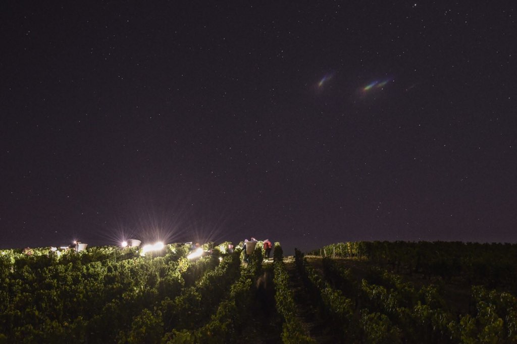 Chablis "Sainte Claire", JEAN MARC BROCARD, France