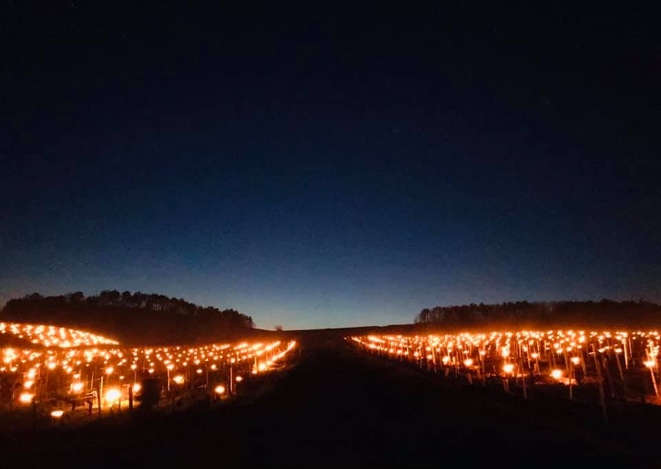 Chablis "Sainte Claire", JEAN MARC BROCARD, France