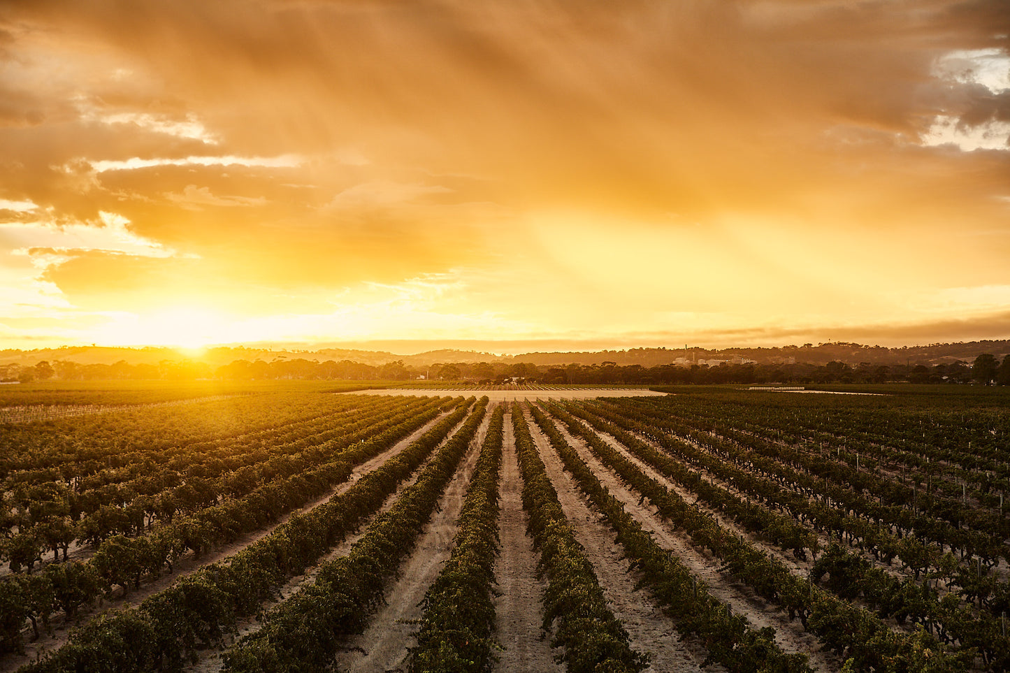 Cabernet Sauvignon, KAESLER, Barossa Valley, Australia