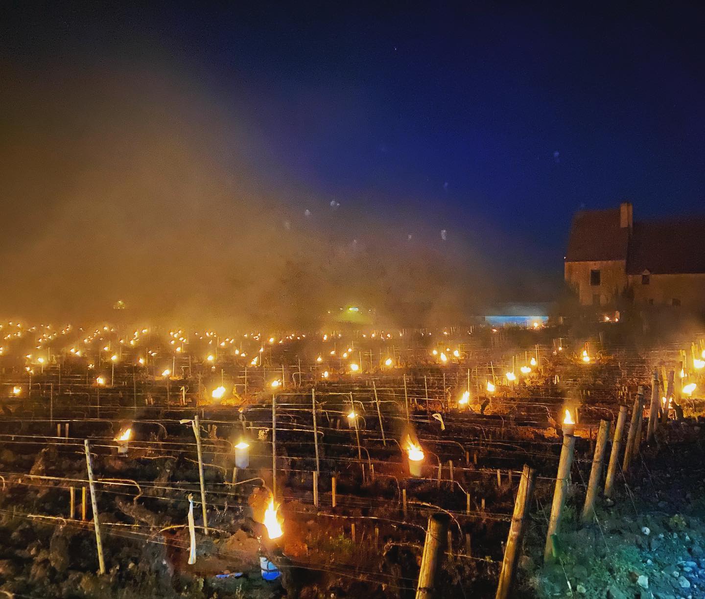 Meursault Premier Cru Les Porusot, OLIVIER LEFLAIVE, Burgundy, France