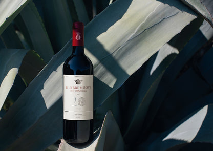 LE SERRE NUOVE DELL ORNELLAIA, Super Tuscan, Bolgheri, 2021
