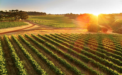LEEUWIN ESTATE, Art Series Chardonnay, 2022 - 6 BTL OFFER