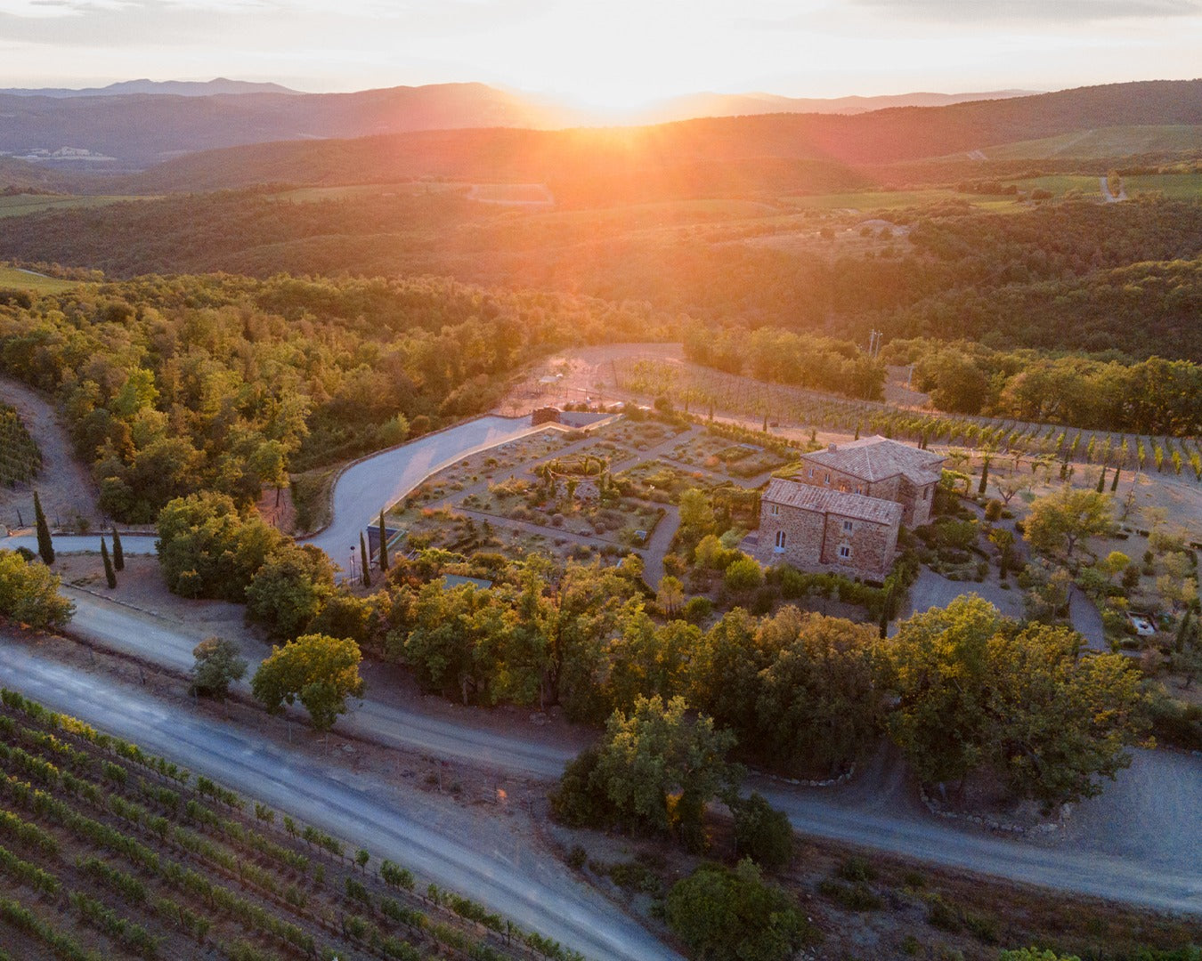 Super Tuscan, TENUTA LUCE, "Della Vite", Tuscany, Italy