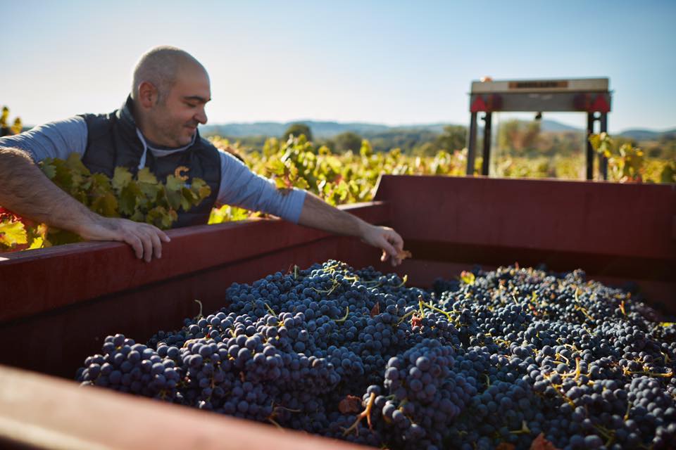 Cotes-Du-Rhone, SAINT-HUGUES, Rhone Valley, France