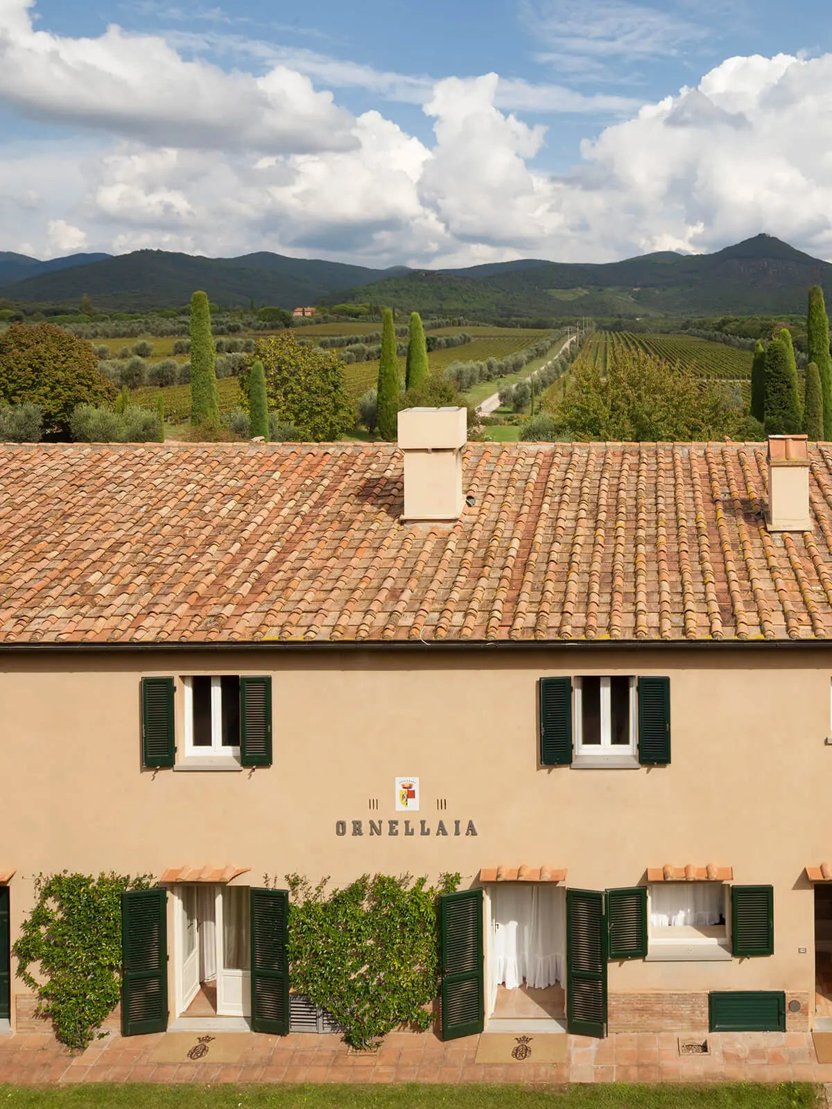 Super Tuscan, LE SERRE NUOVE DELL ORNELLAIA, Bolgheri, Tuscany