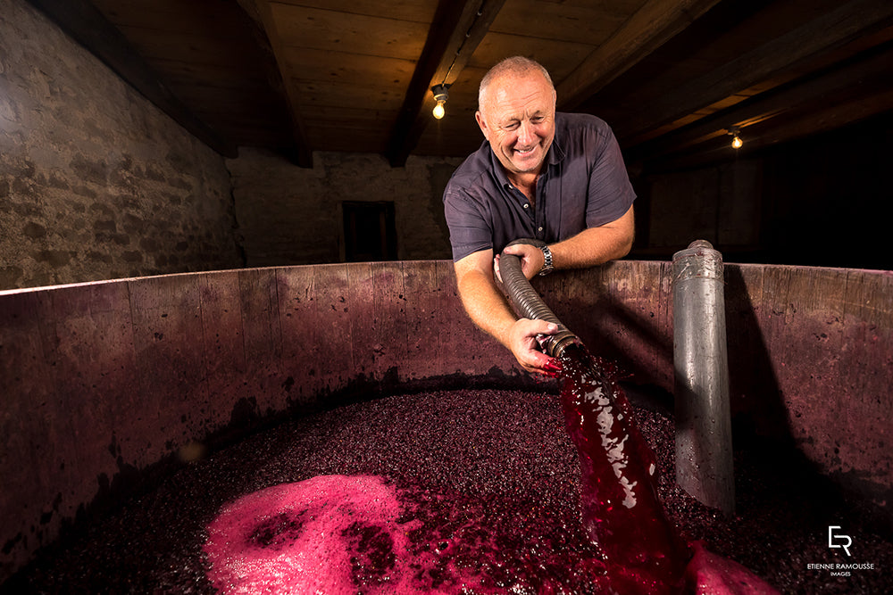 Marsannay, “Les Longeroies”, DOMAINE OLIVIER GUYOT, Burgundy, France