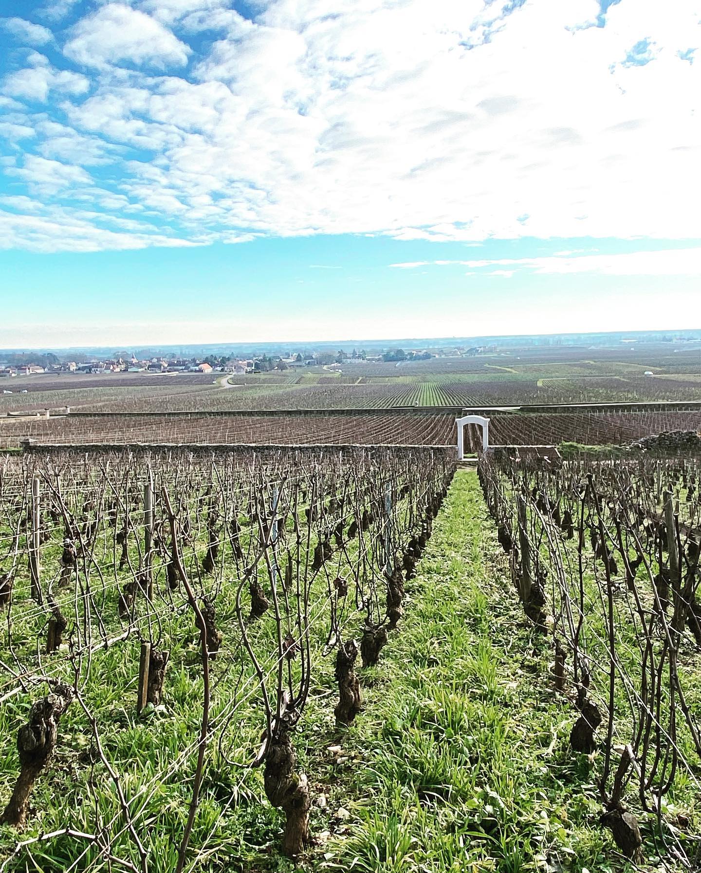 Puligny-Montrachet, OLIVIER LEFLAIVE, Burgundy, France