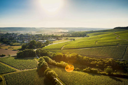 Puligny-Montrachet, OLIVIER LEFLAIVE, Burgundy, France