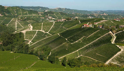 Barbaresco, PIO CESARE, Italy