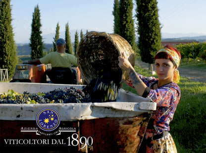 Montepulciano d'Abruzzo, SAN LORENZO, Colline Teramane, Italy