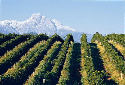 Montepulciano d'Abruzzo, SAN LORENZO, Colline Teramane, Italy