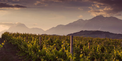 Montepulciano d'Abruzzo, SAN LORENZO, Colline Teramane, Italy