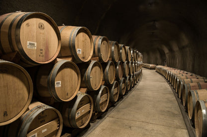 STAGS LEAP WINE CELLARS, Artemis Cabernet Sauvignon, Napa Valley, 2021