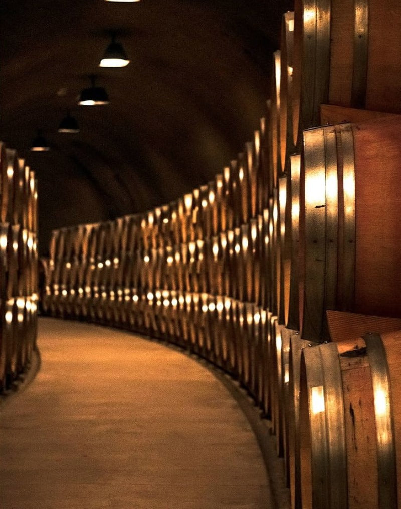 STAGS LEAP WINE CELLARS, Artemis Cabernet Sauvignon, Napa Valley, 2021