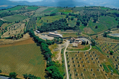 Brunello di Montalcino,  TENUTA FANTI, "Vallocchio", Italy