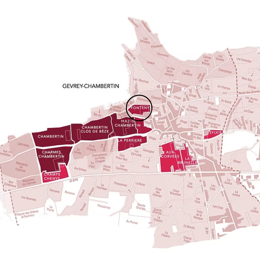DOMAINE HENRI REBOURSEAU, Gevrey-Chambertin, Fonteny Premier Cru, 2021