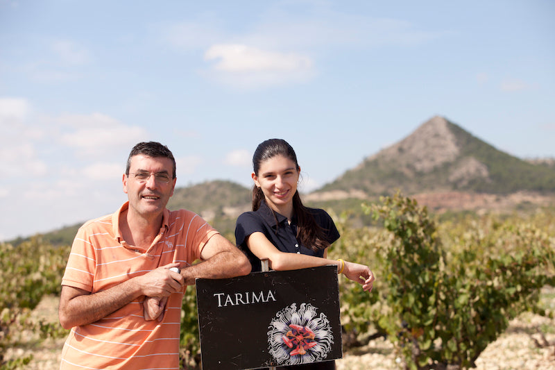 Tempranillo, BODEGAS VOLVER, Single Vineyard, La Mancha, Spain