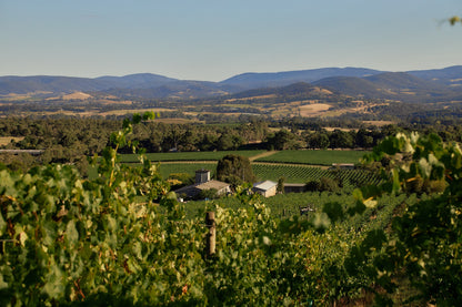 Cabernet Sauvignon Blend, YARRA YERING, Dry Red No.1, Australia