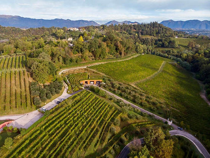 Merlot, ZAGO GASPARINI, "La Barchessa", "Super Veneto", Veneto, Italy