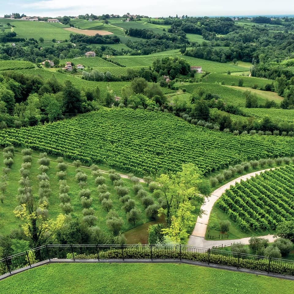 Merlot, ZAGO GASPARINI, "La Barchessa", "Super Veneto", Veneto, Italy