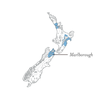 Sauvignon Blanc, BABICH, Marlborough, New Zealand