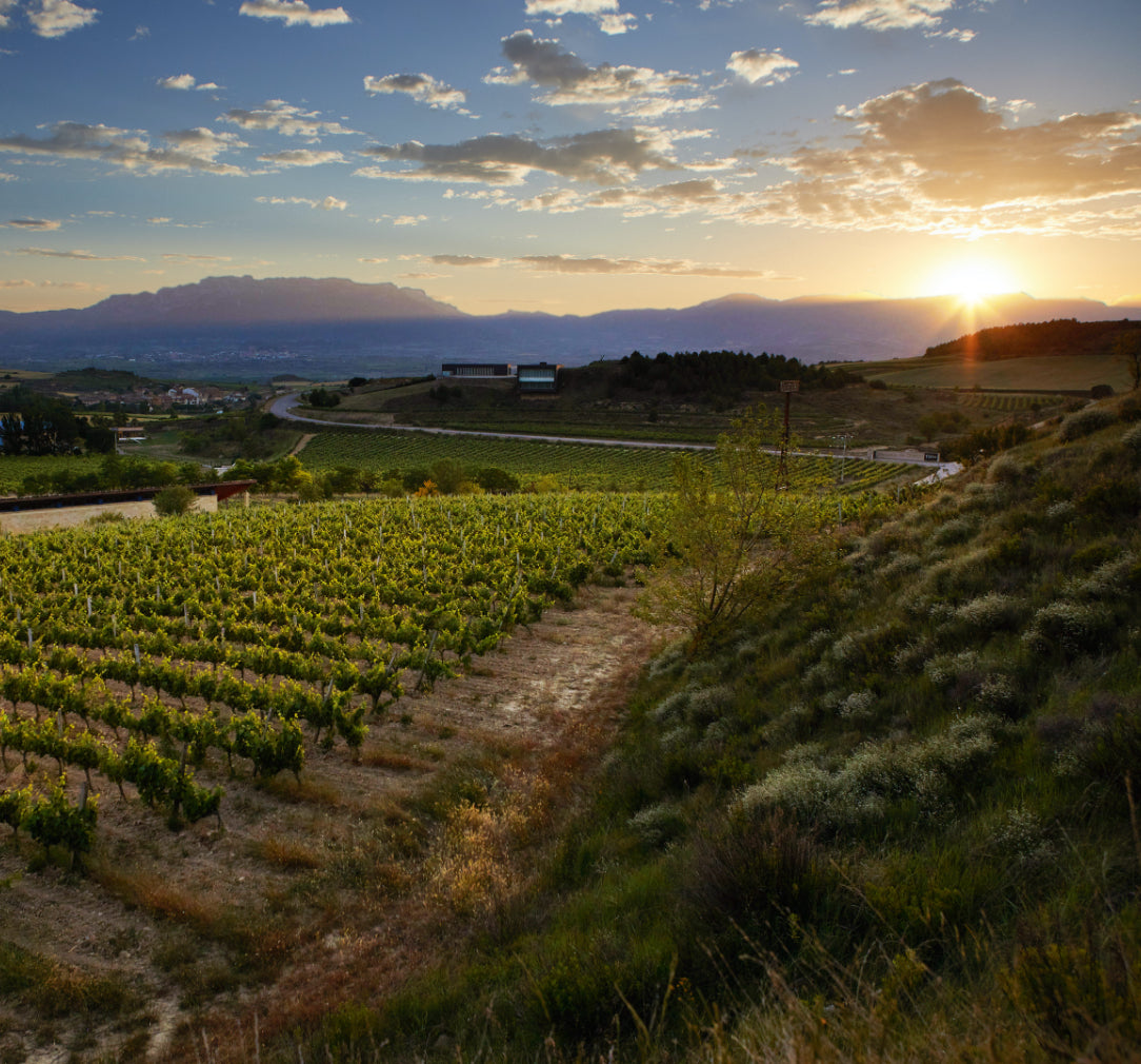 Rioja Reserva, BODEGAS VALENCISO, Spain