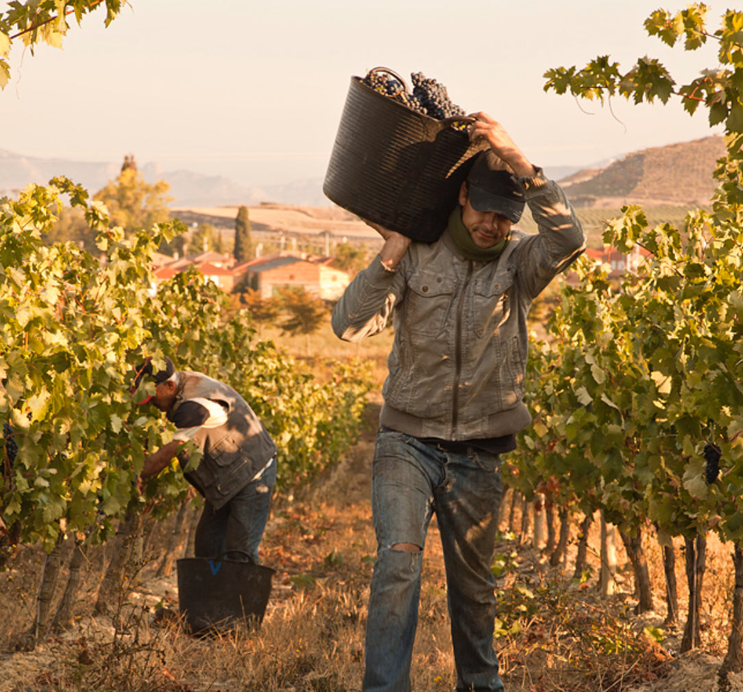 Rioja Reserva, BODEGAS VALENCISO, Spain